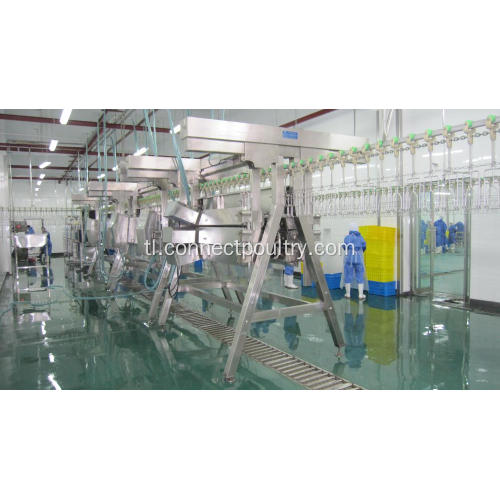 Chicken Automatic Plucking Machine